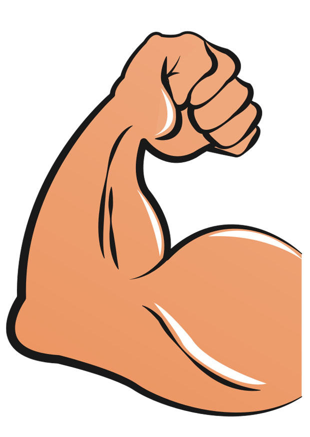 muscolare immagine muscolare