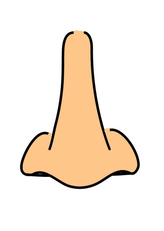 naso immagine naso