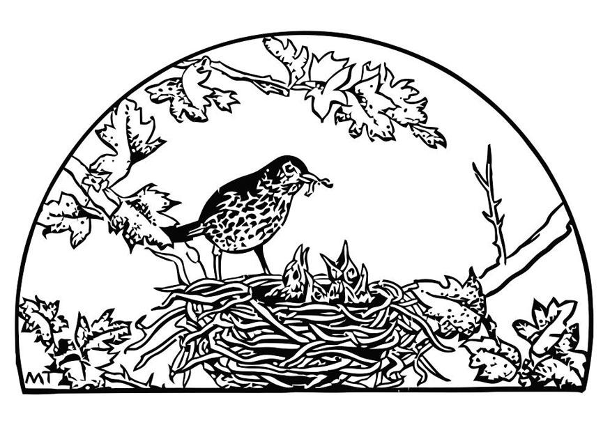 nido duccello Disegno da colorare nido duccello