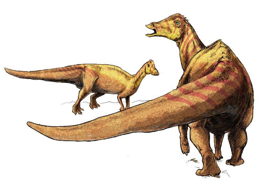 nipponosauro immagine nipponosauro