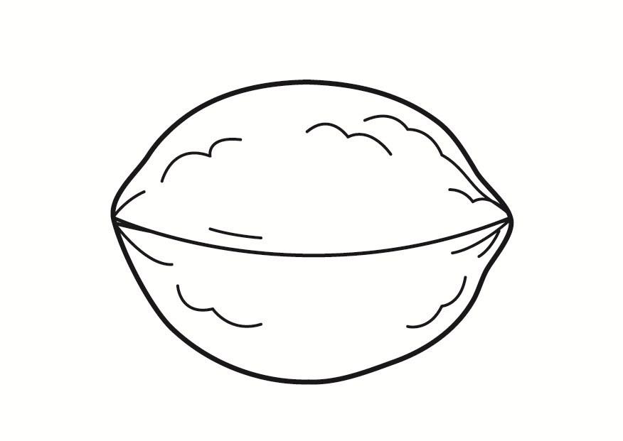 noce Disegno da colorare noce