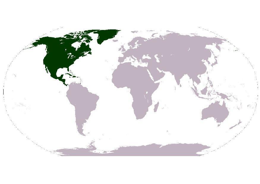 nord america immagine nord america