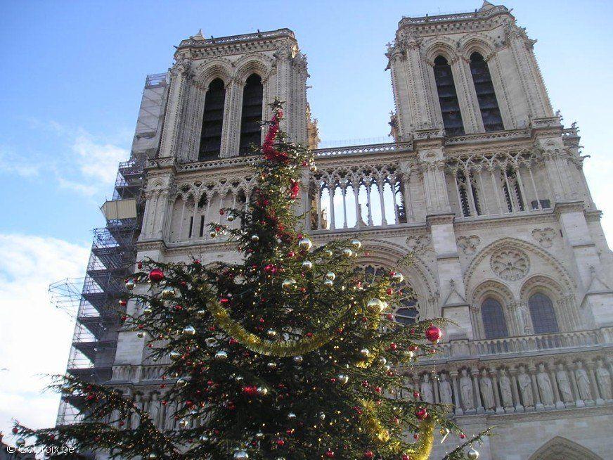 notre-dame parigi a natale Foto notre-dame parigi a natale