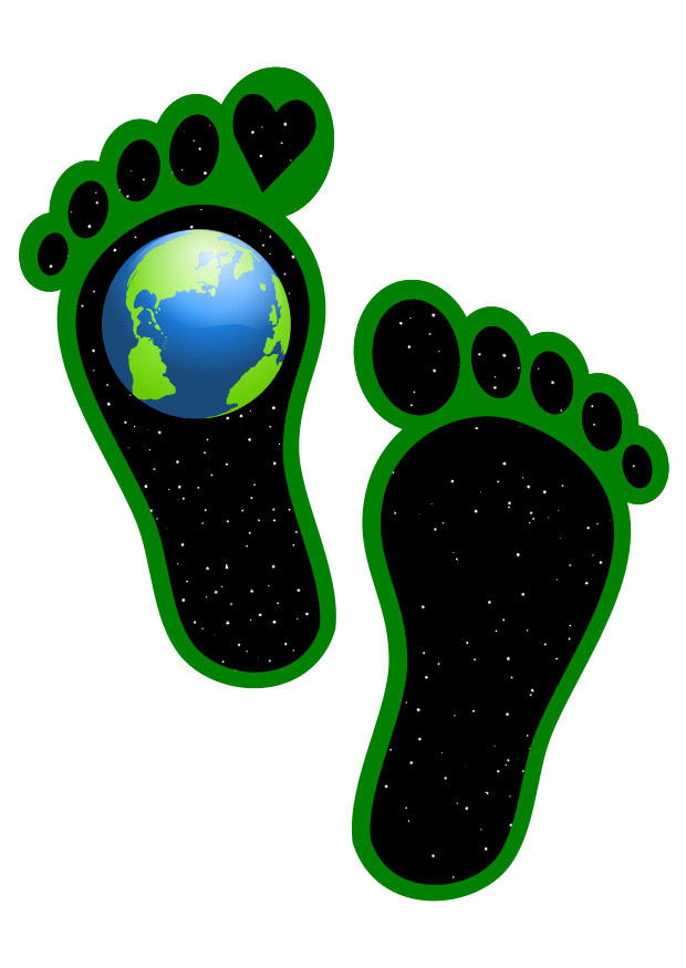 orma ecologica immagine orma ecologica