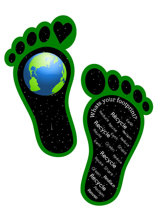 orma ecologica immagine orma ecologica