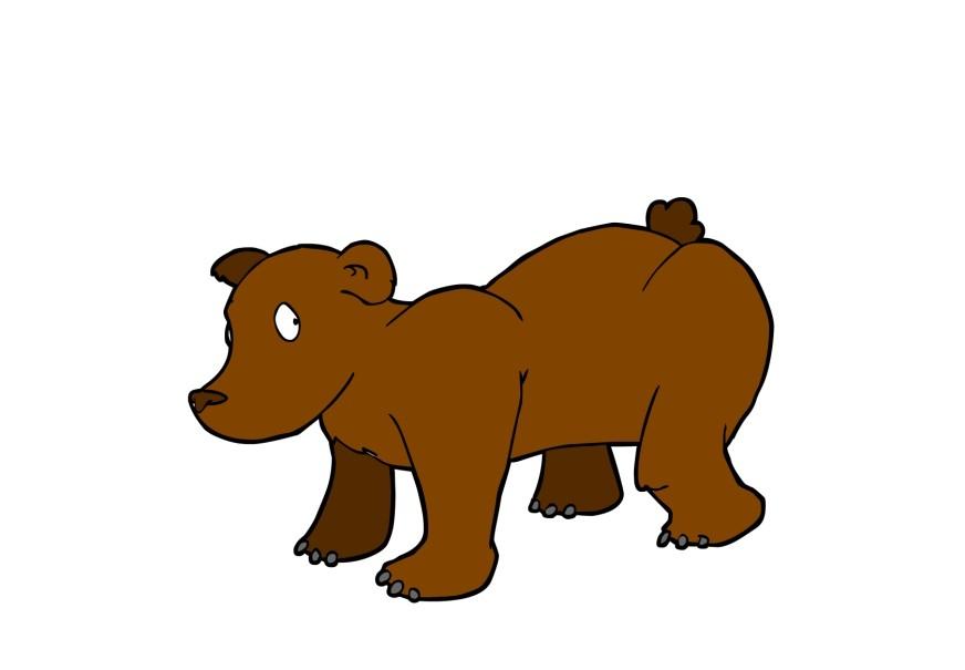 orso immagine orso