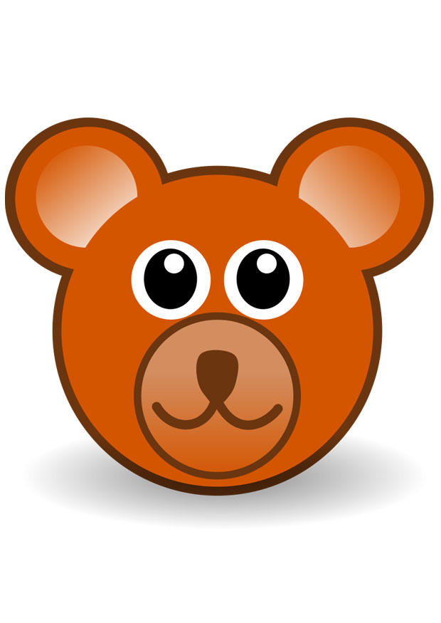 orso immagine orso