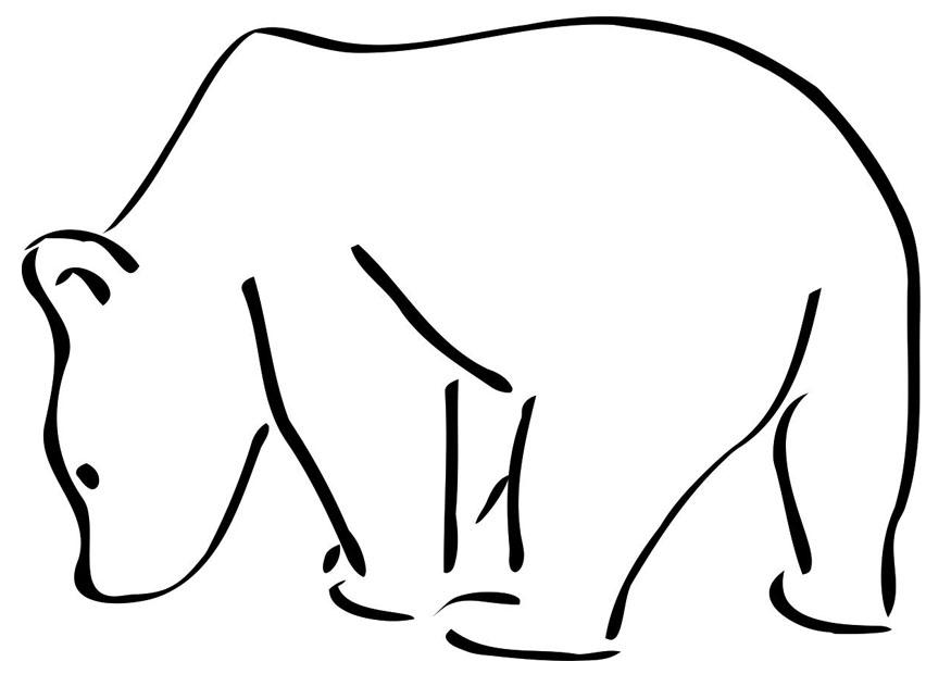 orso polare Disegno da colorare orso polare