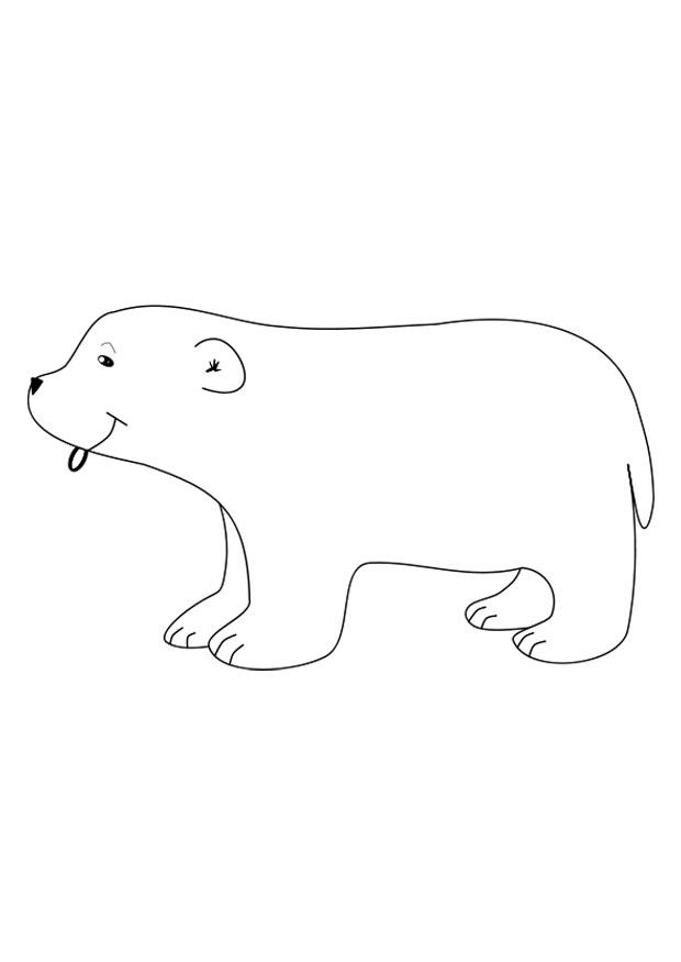 orso polare Disegno da colorare orso polare