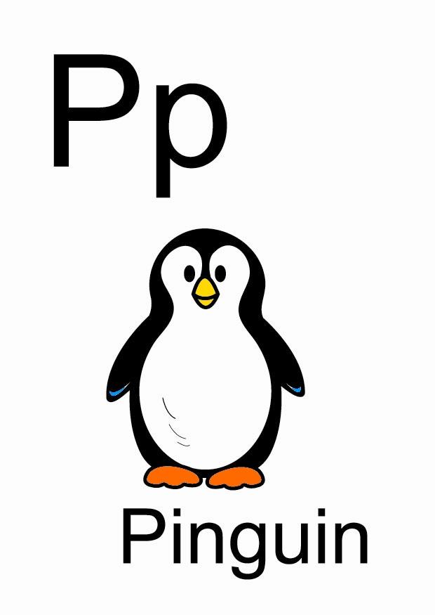 p immagine p