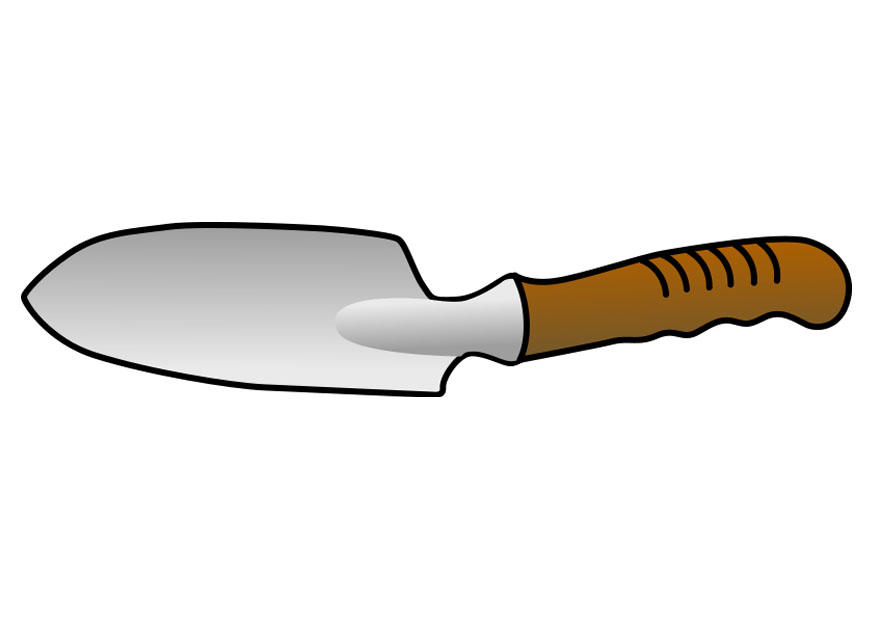 paletta immagine paletta
