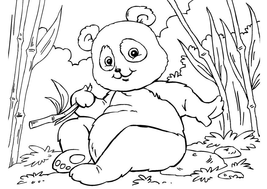 panda Disegno da colorare panda