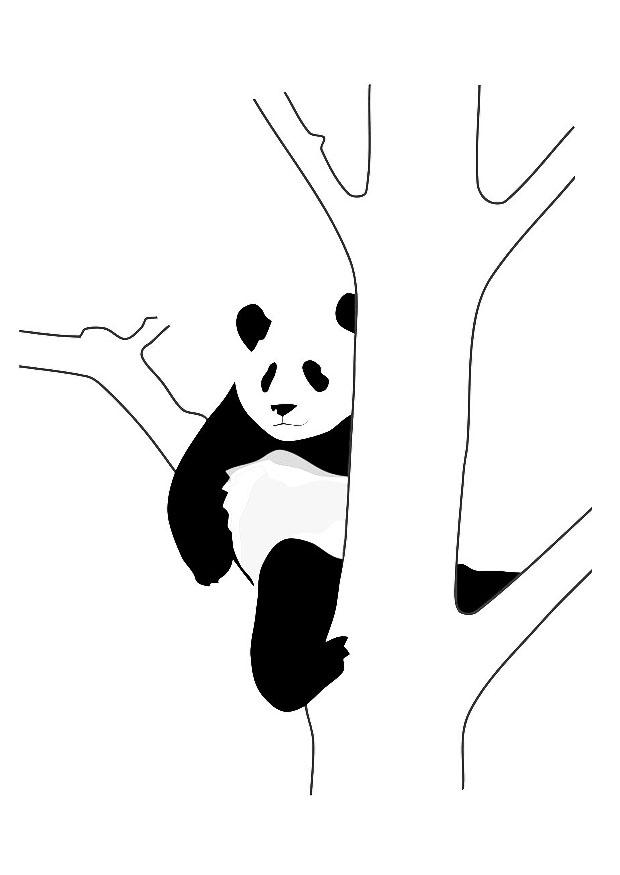 Disegno da colorare panda nellalbero