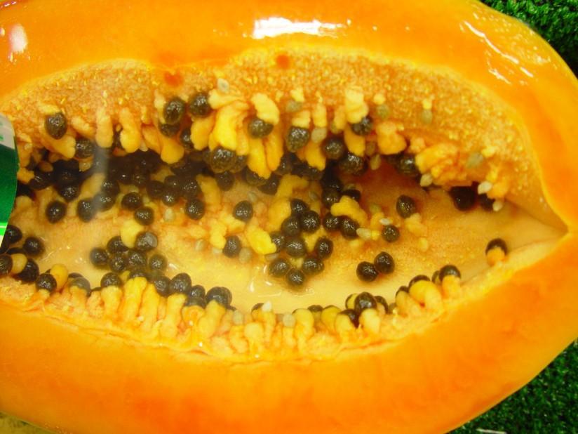 papaya Foto papaya