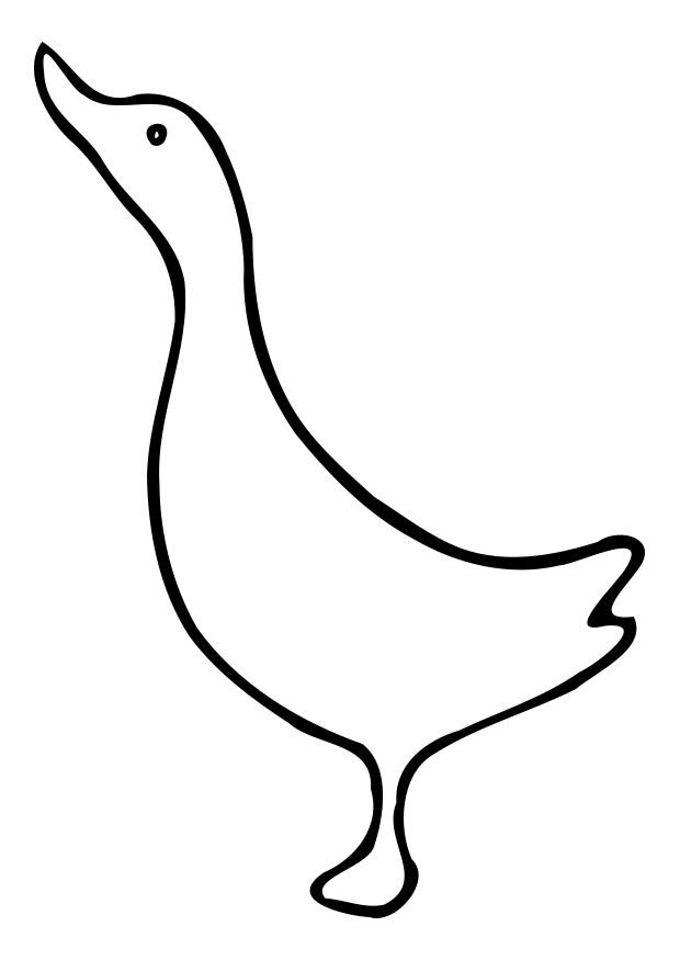 papera Disegno da colorare papera