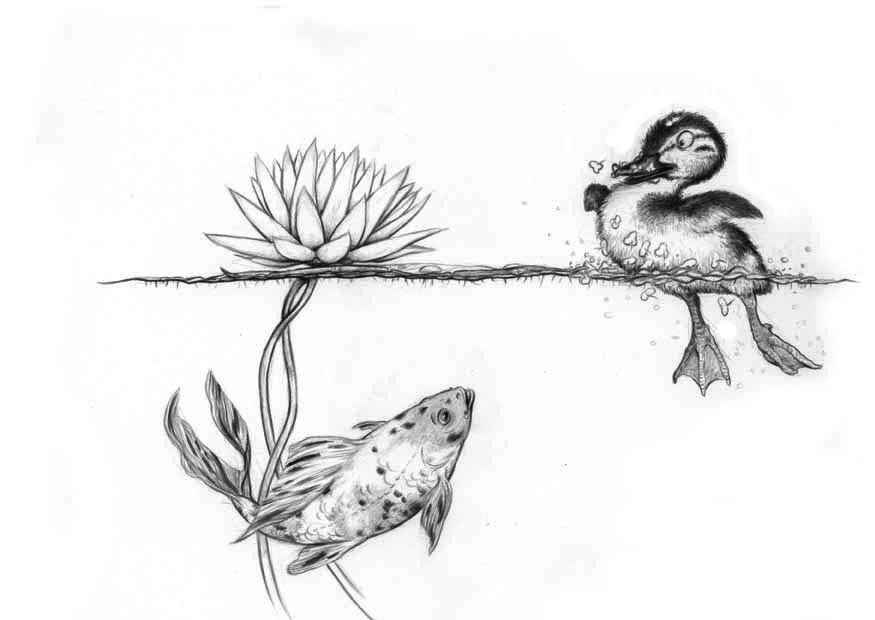 paperella e pesce Disegno da colorare paperella e pesce