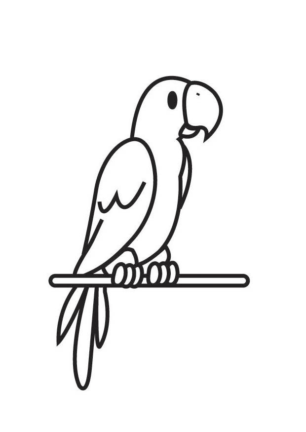 pappagallo Disegno da colorare pappagallo