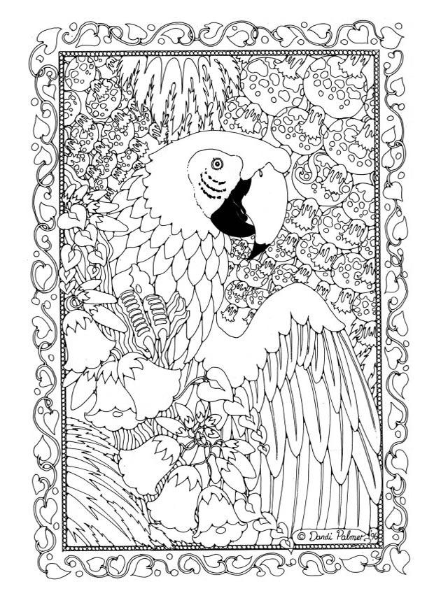 pappagallo Disegno da colorare pappagallo
