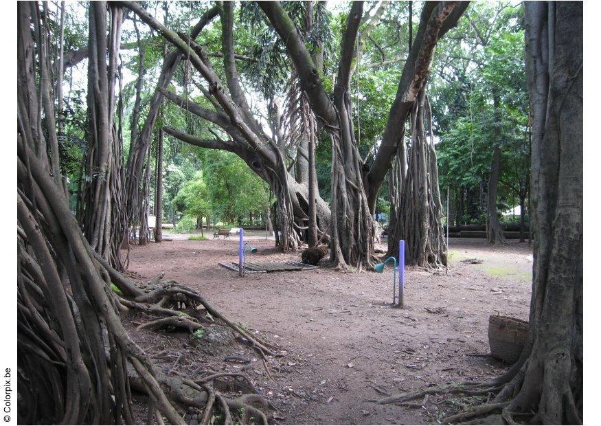 parco puna Foto parco puna