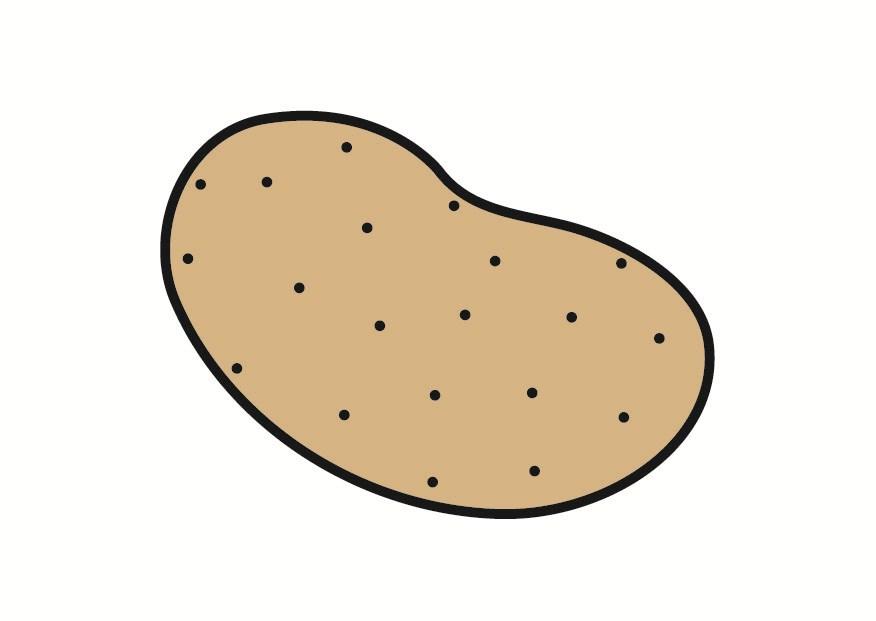 patata immagine patata