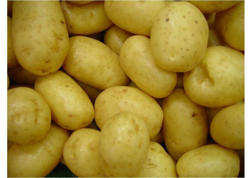 patate Foto patate