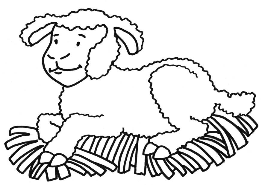 pecora Disegno da colorare pecora