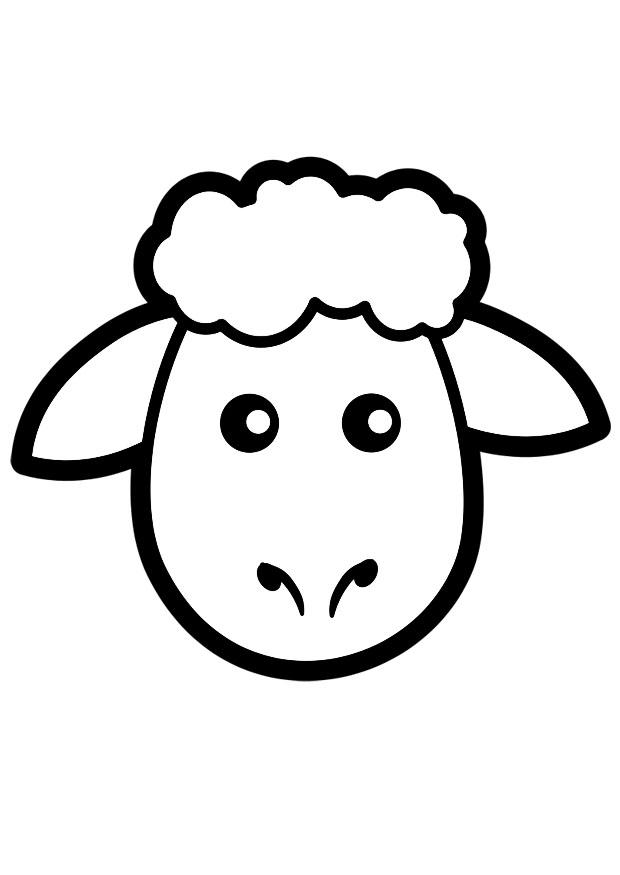 pecora Disegno da colorare pecora
