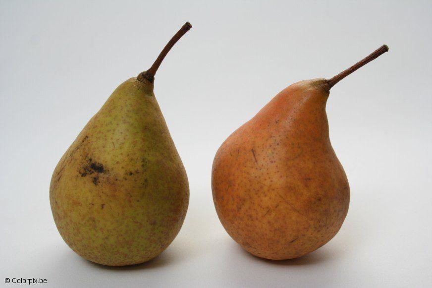 pere Foto pere