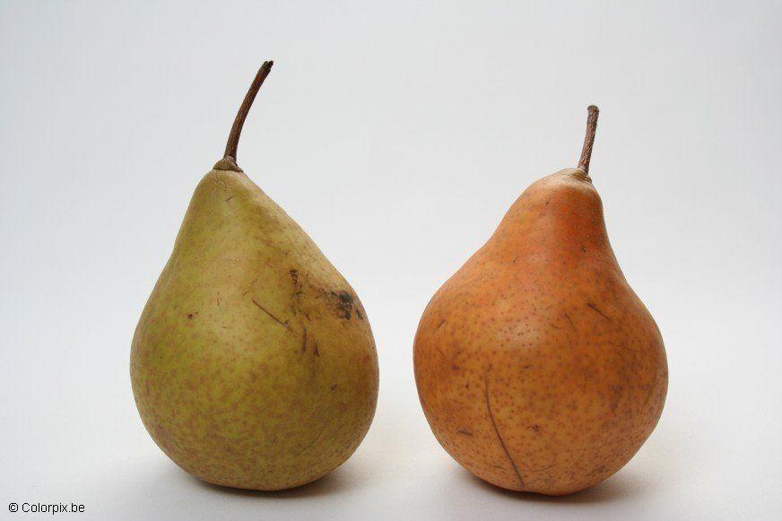 pere Foto pere
