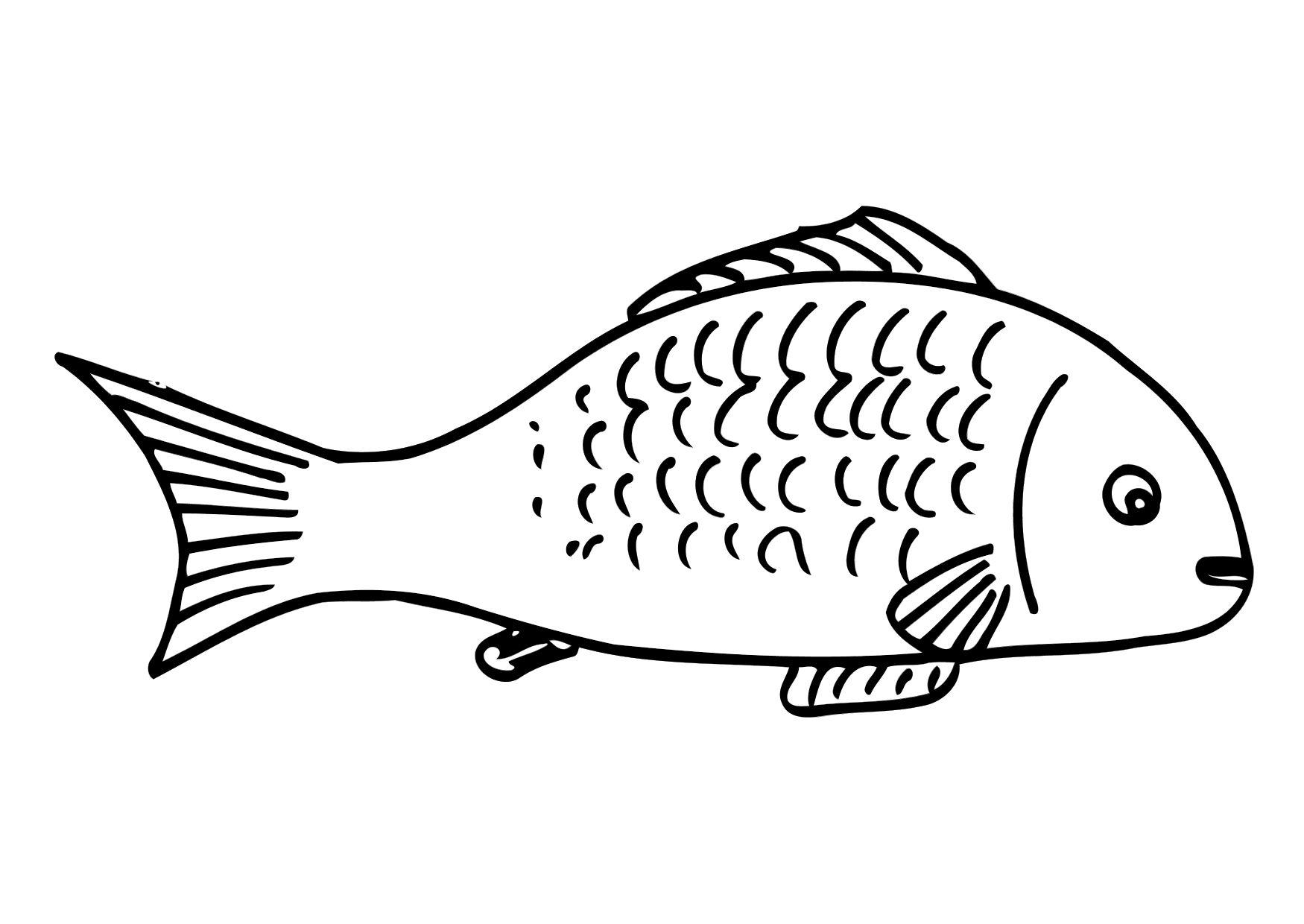pesce Disegno da colorare pesce
