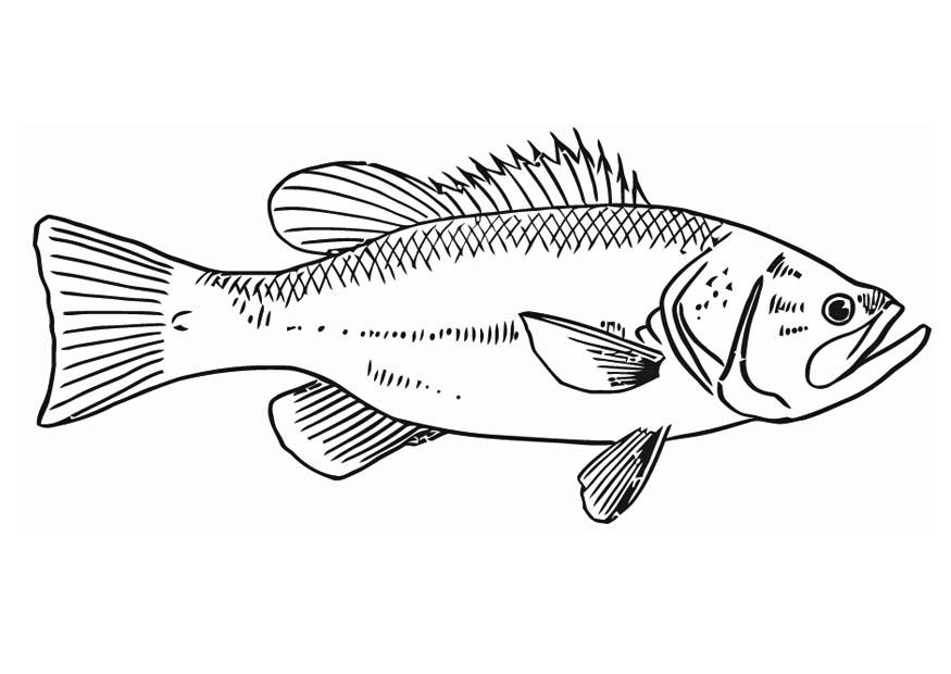 pesce Disegno da colorare pesce