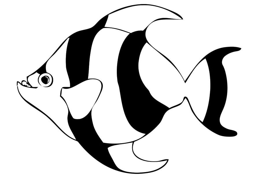 pesce Disegno da colorare pesce