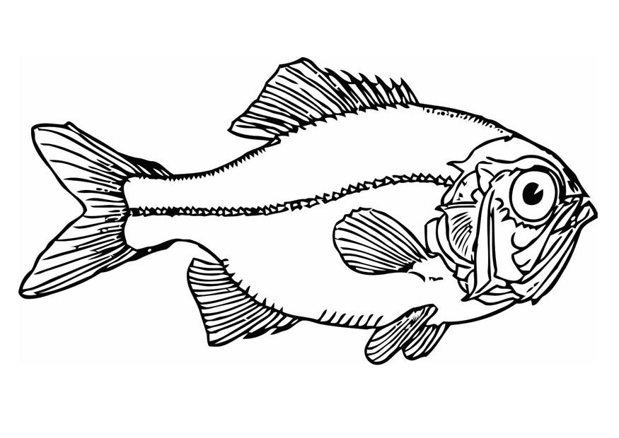 pesce Disegno da colorare pesce
