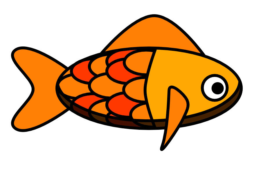 pesce immagine pesce