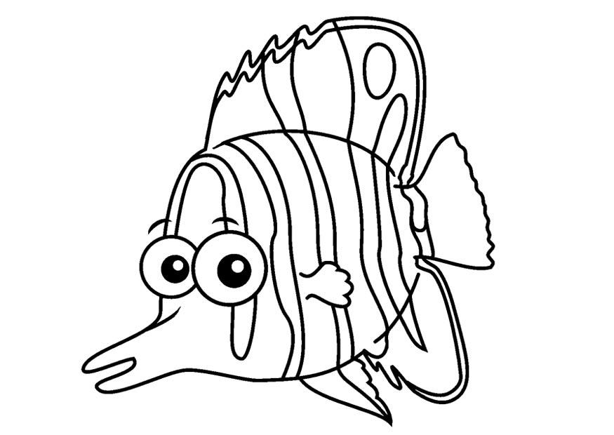 pesce corallo Disegno da colorare pesce corallo