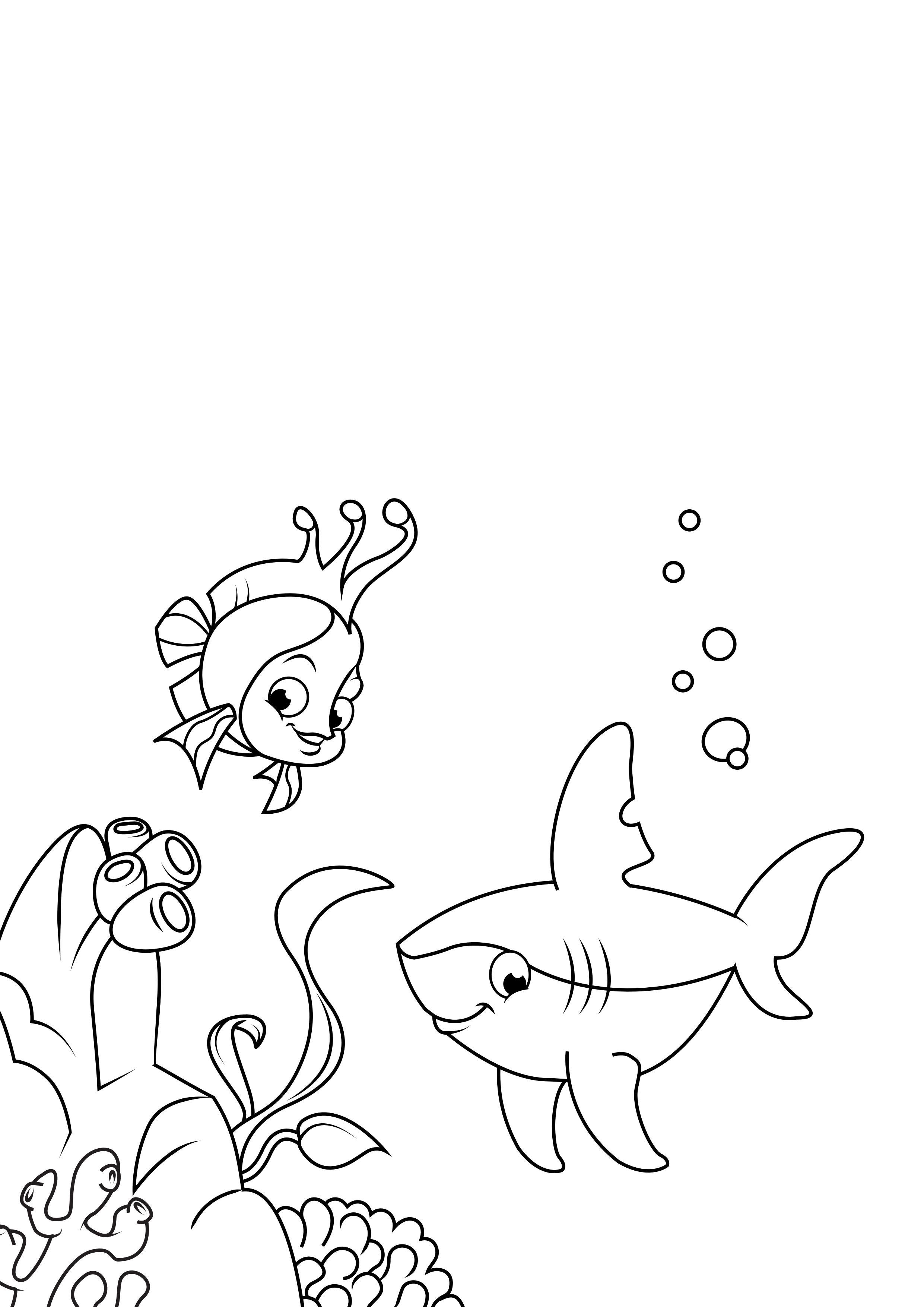 pesce e squalo Disegno da colorare pesce e squalo