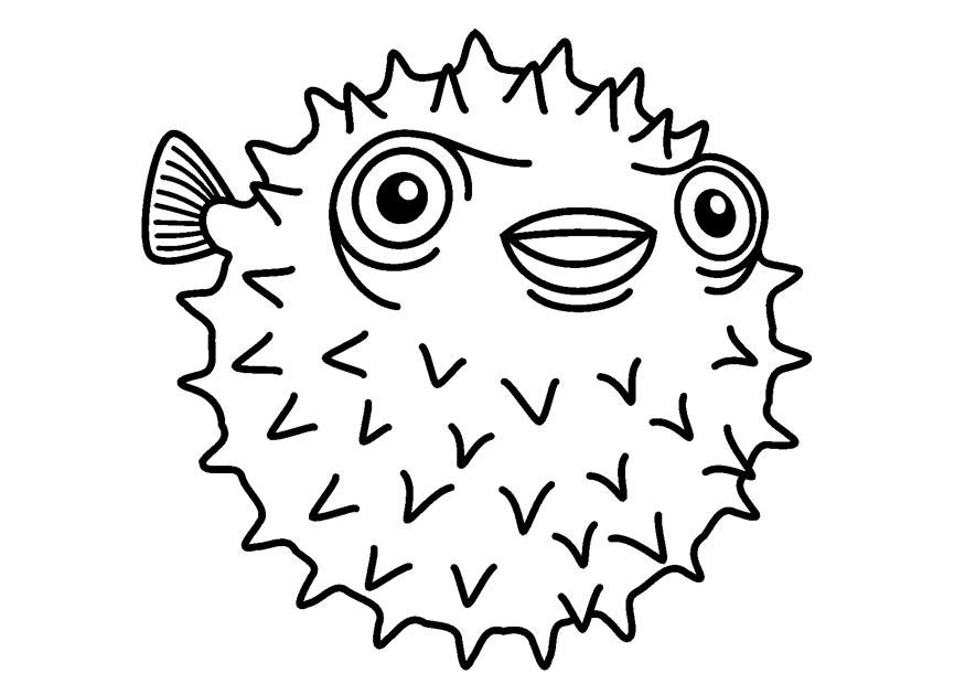 pesce palla Disegno da colorare pesce palla