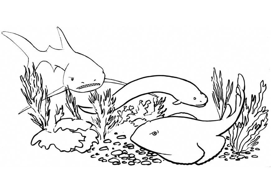 pesci e squali Disegno da colorare pesci e squali