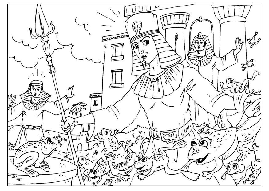 piaga delle rane Disegno da colorare piaga delle rane