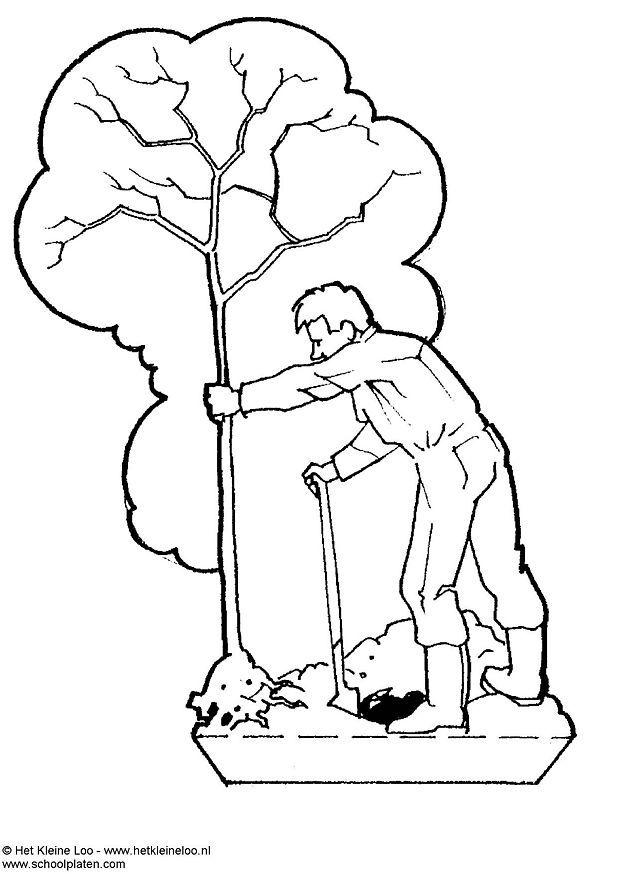 piantare alberi Laboratorio creativo piantare alberi