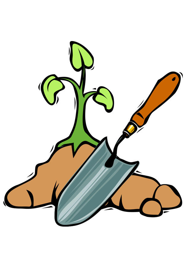 immagine piantare unalbero
