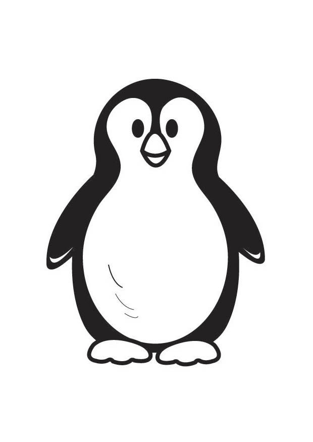 pinguino Disegno da colorare pinguino