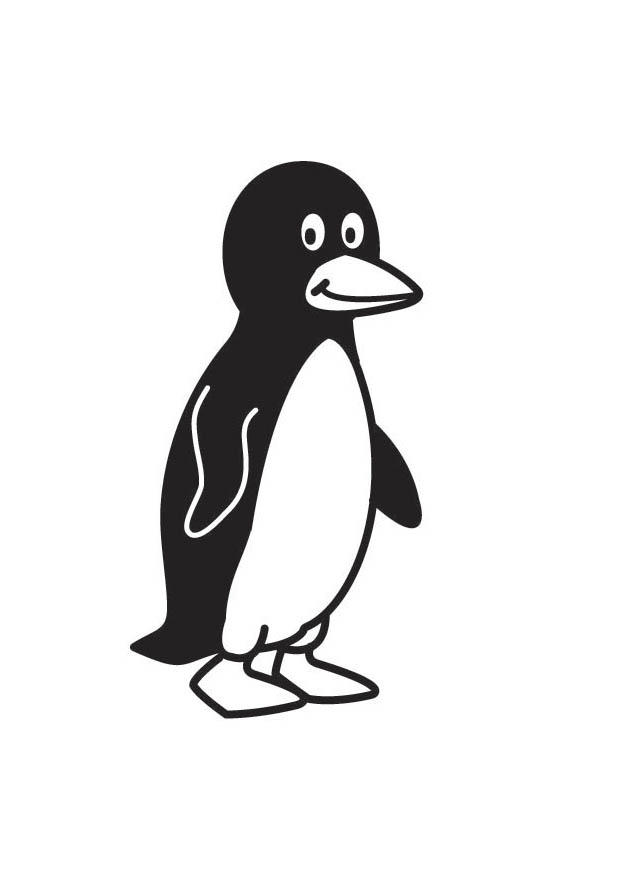 pinguino Disegno da colorare pinguino