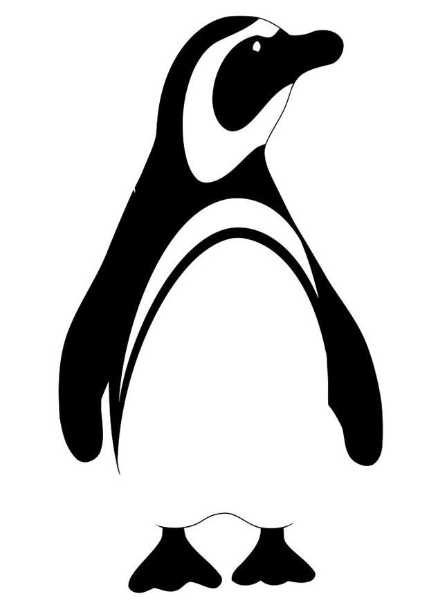 pinguino Disegno da colorare pinguino
