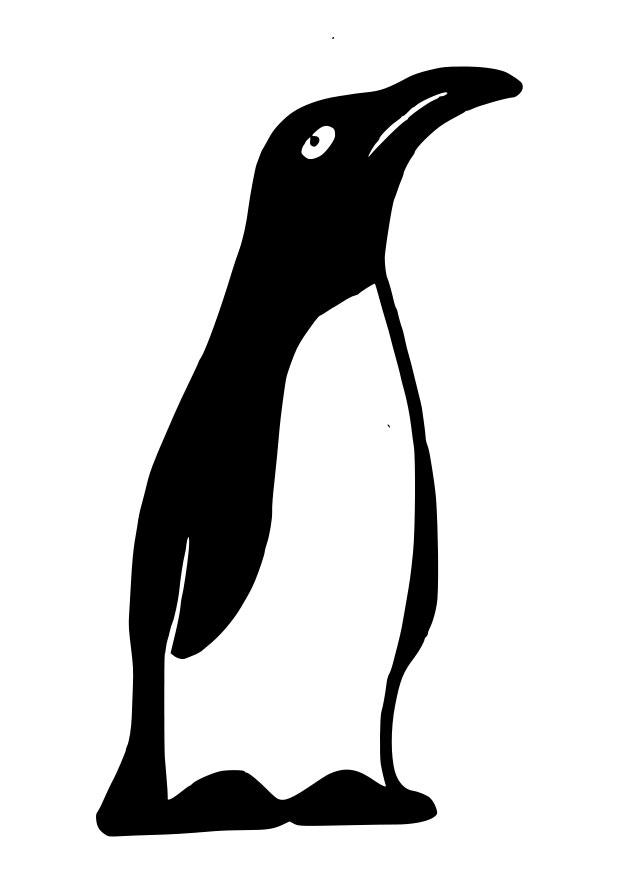 pinguino Disegno da colorare pinguino