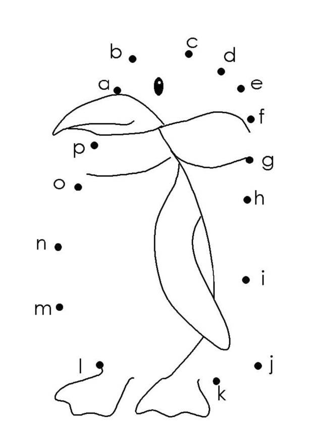 pinguino - lettere Disegno da colorare pinguino - lettere