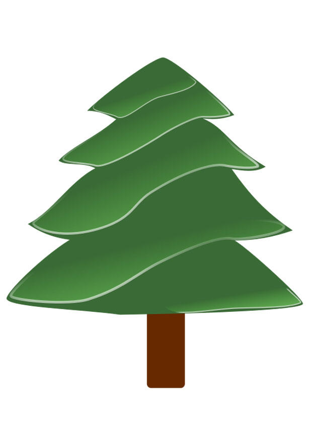 pino immagine pino