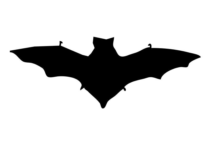 pipistrello Disegno da colorare pipistrello