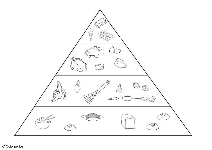 piramide alimentare Disegno da colorare piramide alimentare