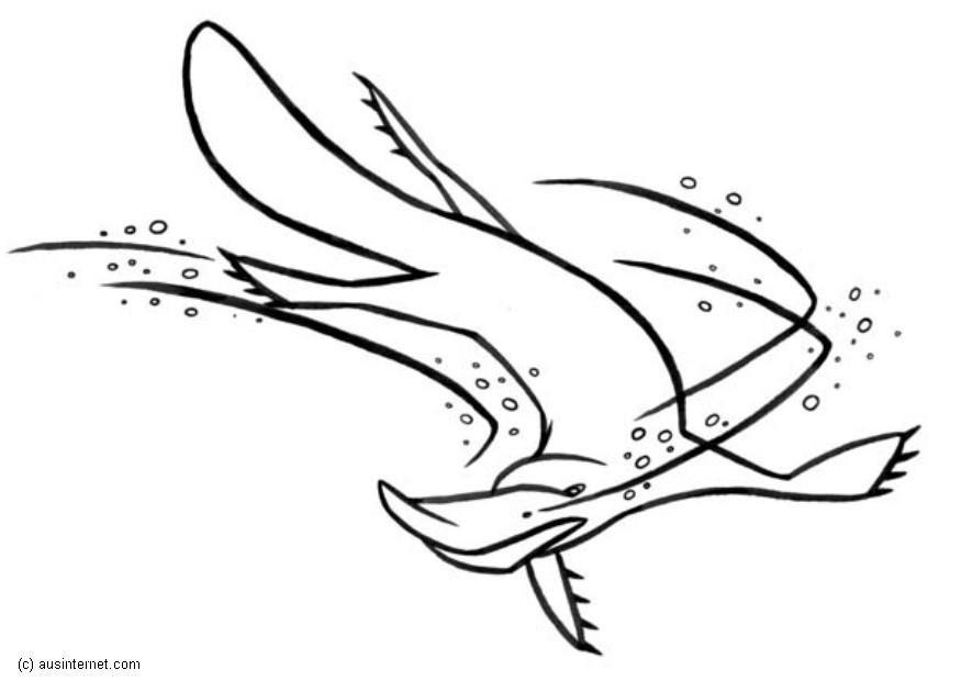 platypus Disegno da colorare platypus